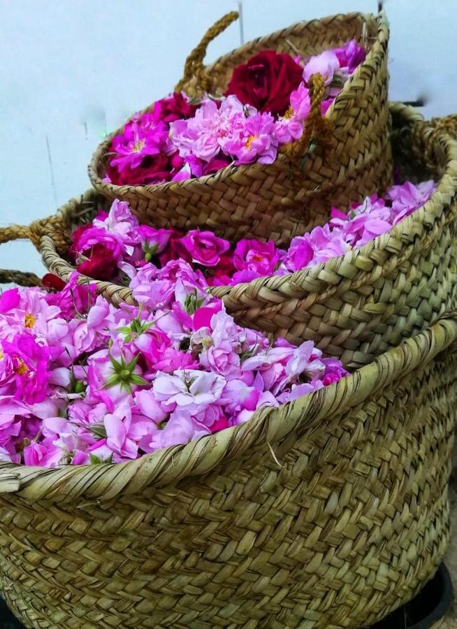 فيلا Roses House Oman Jabal al Akhdhar المظهر الخارجي الصورة