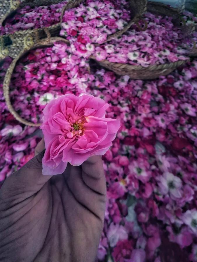 فيلا Roses House Oman Jabal al Akhdhar المظهر الخارجي الصورة